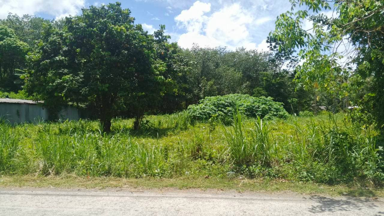 🌿 Urgent! Beautiful plot of land for sale, great location, next to the road, convenient travel, Si Sunthon Zone, Phuket 🌿✨ – รูปที่ 3