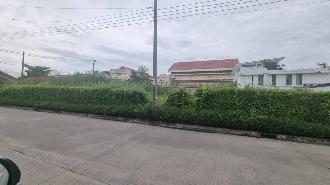 ให้เช่า #ที่ดินเปล่า ซอยราชวินิตบางแก้ว หลังเมกาบางนา📞095-164-2956  #ใกล้โรงเรียนราชวินิตบางแก้ว  #ย่านบางนา – รูปที่ 2
