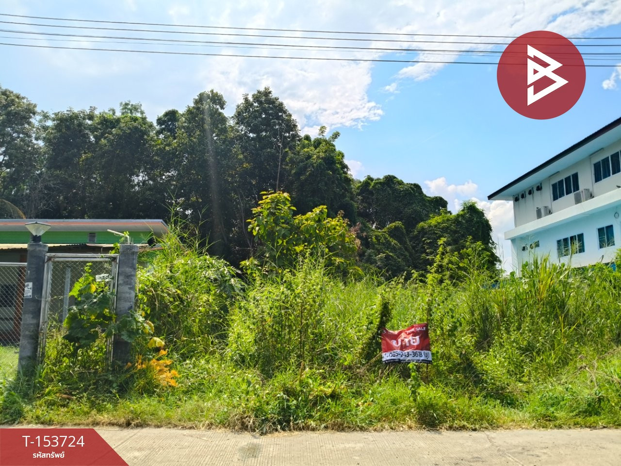 ขายที่ดิน เนื้อที่ 1 ไร่ 2 งาน 12.1 ตร.วา หัวทะเล นครราชสีมา – รูปที่ 2