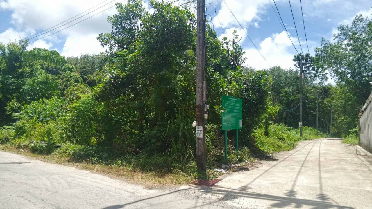 🌿 Urgent! Beautiful plot of land for sale, great location, next to the road, convenient travel, Si Sunthon Zone, Phuket 🌿✨