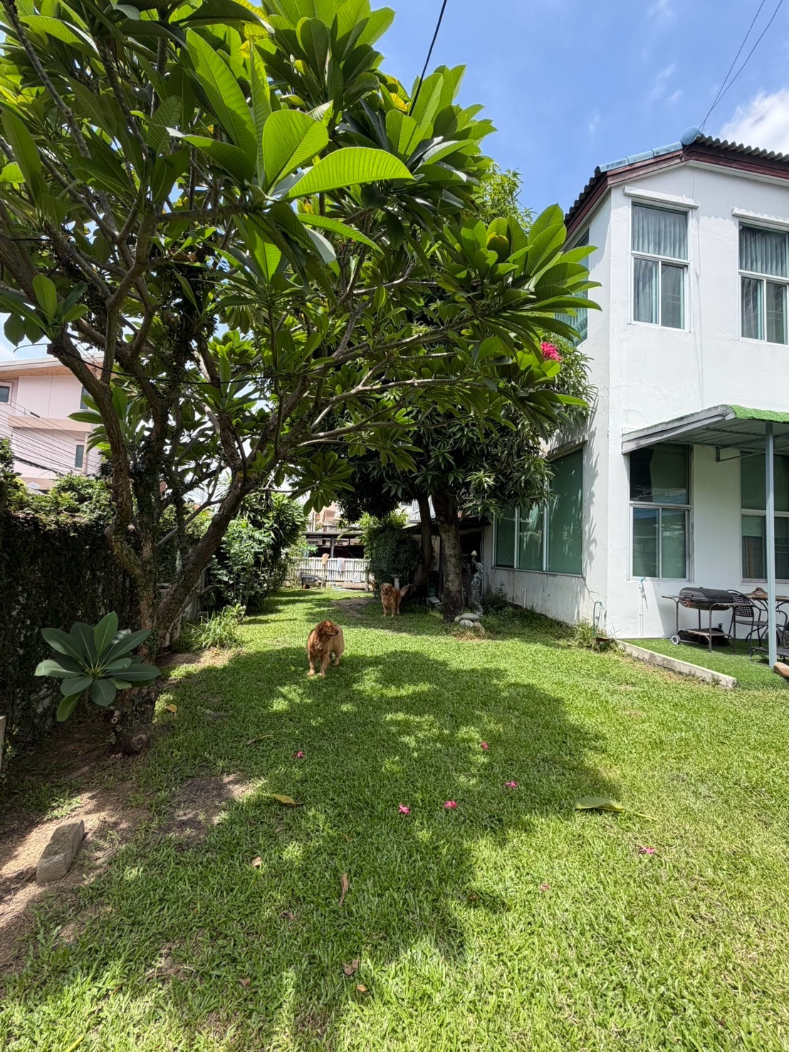 บ้านเดี่ยวแปลงมุม สุขุมวิท 64 | ที่ดิน 136 ตร.ว. ใกล้บีทีเอสปุณณวิถี   – รูปที่ 4