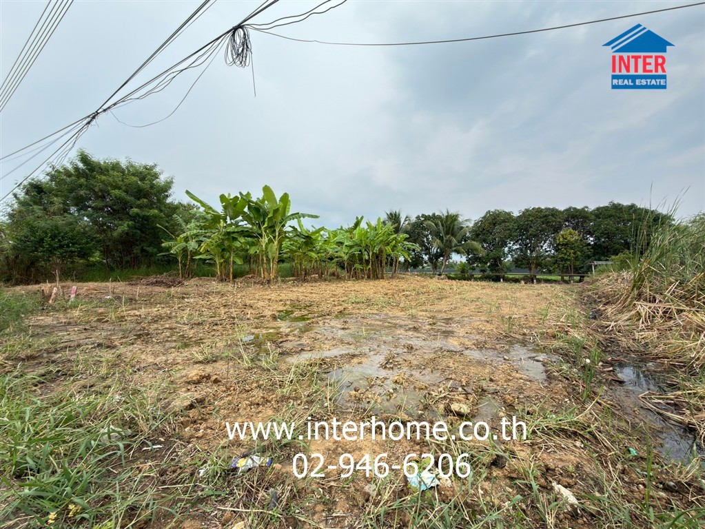 Empty land 80 sq m. Land near Mahidol University, Salaya, Soi Num Prasong 2. Samret Phatthana Road Kanchanaphisek Road, Bang Kruai, Nonthaburi – รูปที่ 4