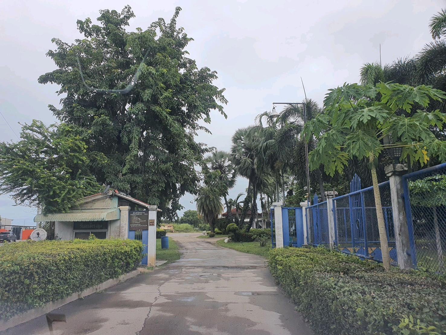 ขายที่ดินติดถนน 3 ด้าน ขนาด 6 ไร่ 2 งาน พร้อมสำนักงานและอู่ซ่อมรถ ใกล้ SCGP วังศาลา  – รูปที่ 3