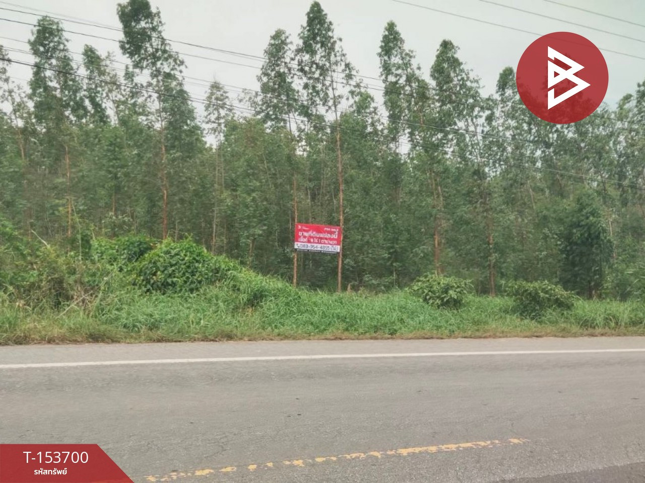Land for sale, area 9 rai 1 sq m, Lat Yao, Nakhon Sawan