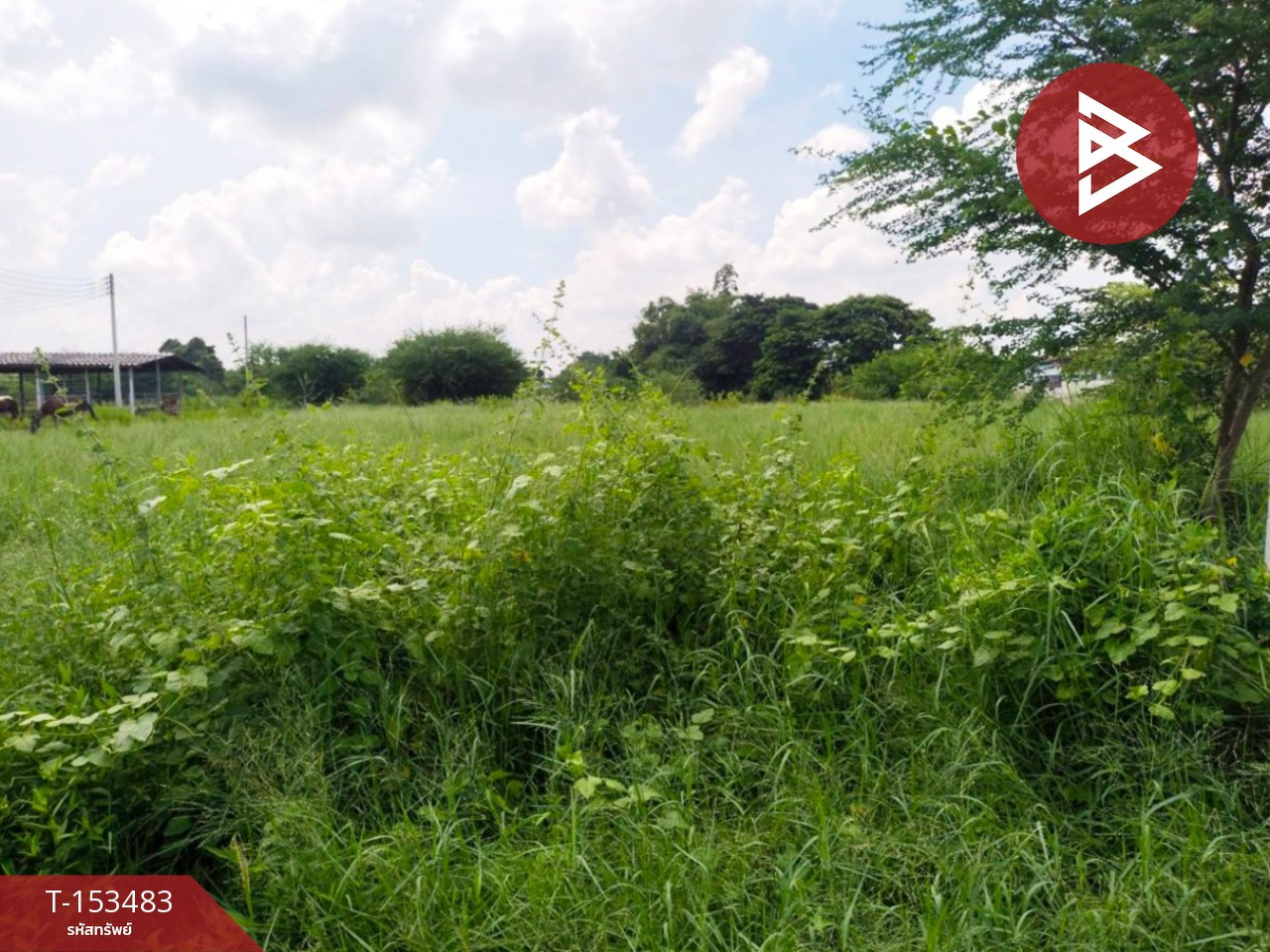 Land for sale, area 1 rai 3 ngan 87.2 sq m, Ban Pong, Ratchaburi. – รูปที่ 2