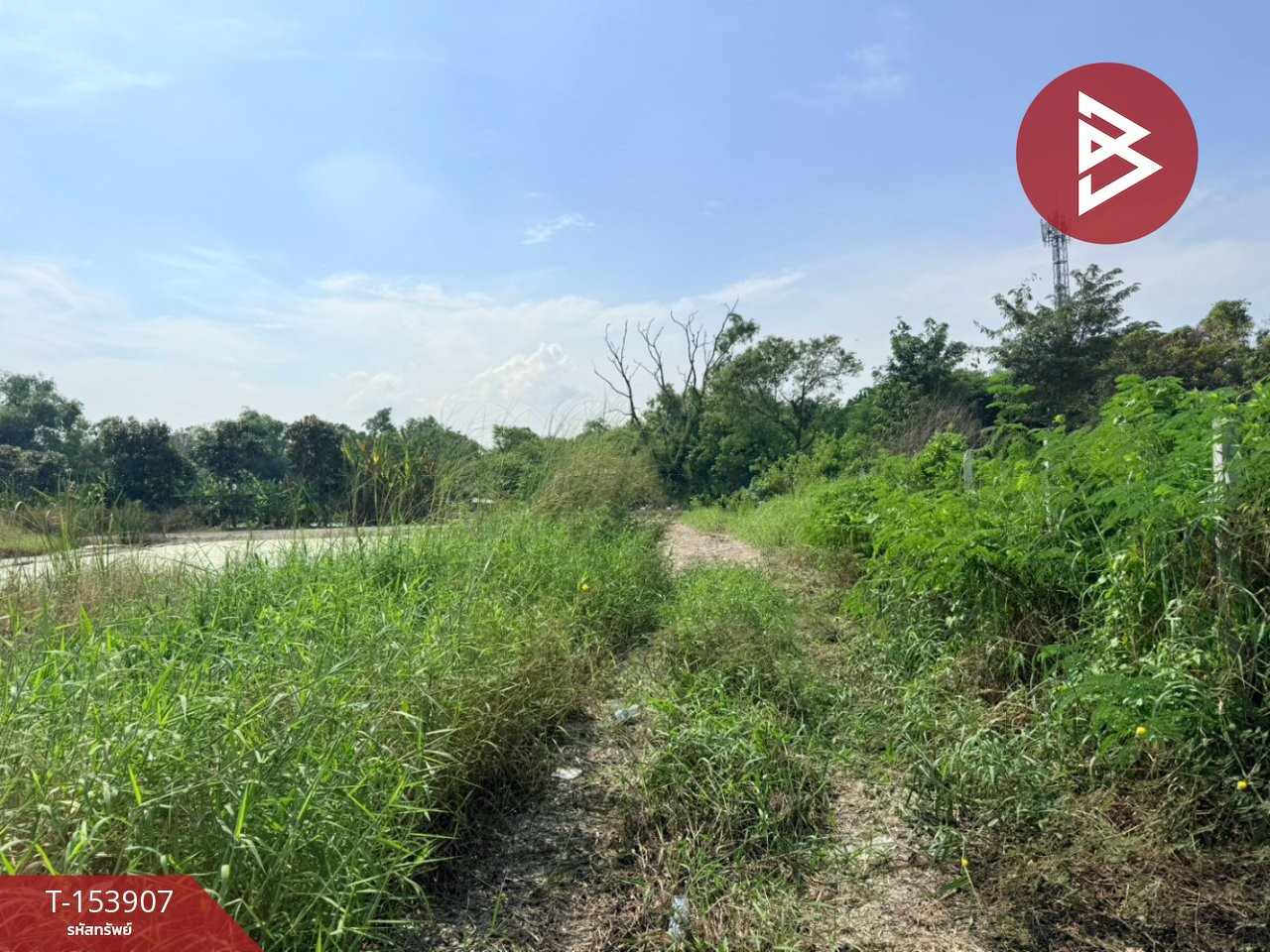 ขายที่ดิน เนื้อที่ 1 งาน บางเขน กรุงเทพมหานคร – รูปที่ 2