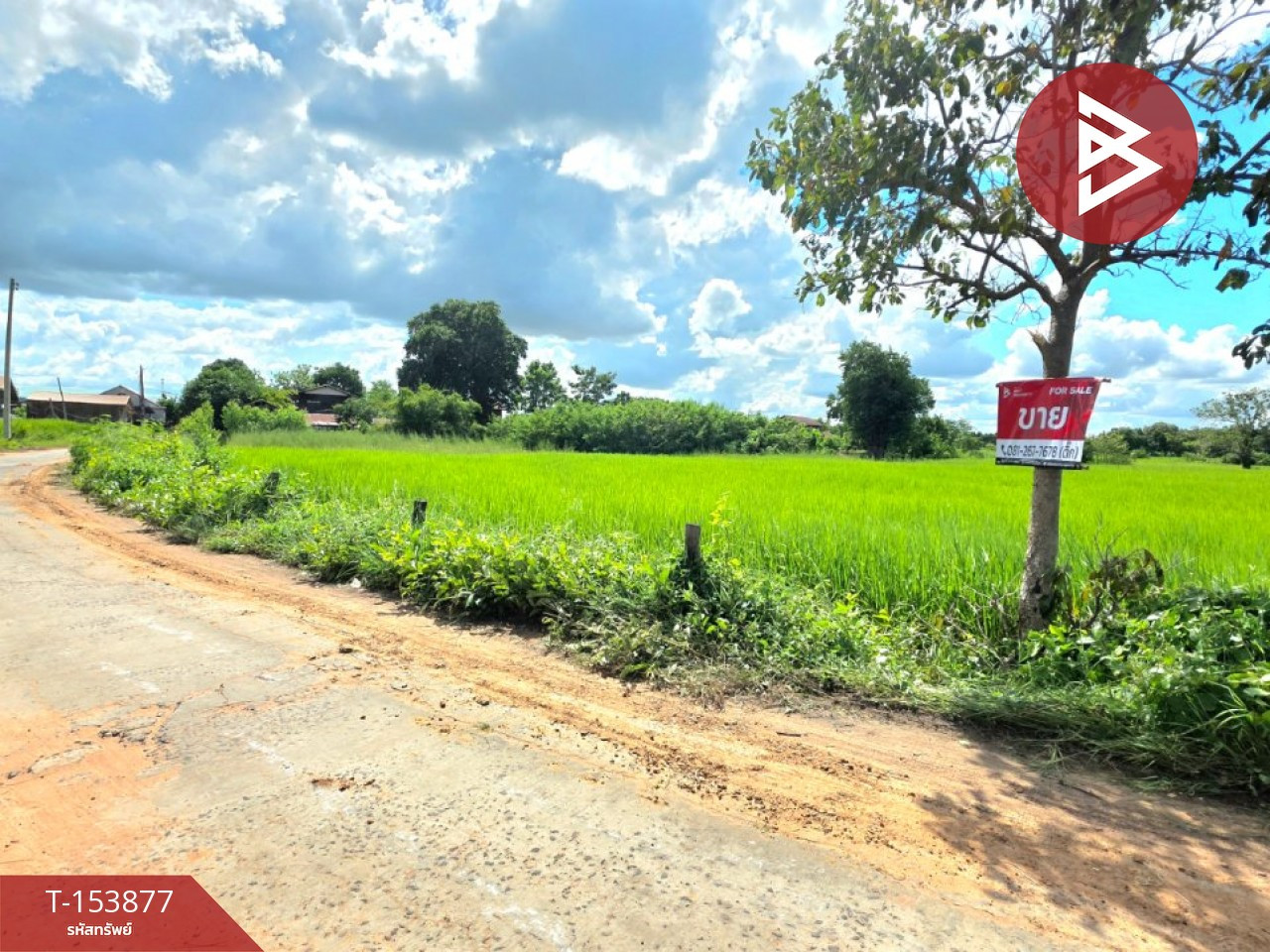 ขายที่ดิน เนื้อที่ 2 ไร่ 7.9 ตร.วา บรบือ มหาสารคาม – รูปที่ 3