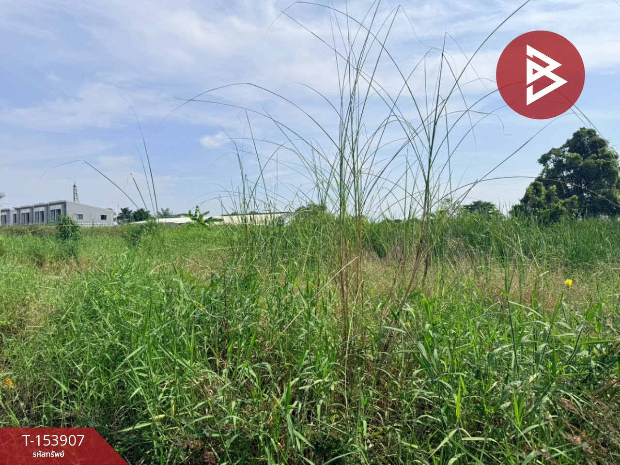 Land for sale, area 1 ngan, Bang Khen, Bangkok