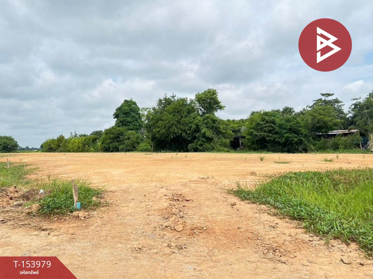 Land for sale, area 3 rai 2 ngan 96.4 sq m, Phlai Chumphon, Phitsanulok. – รูปที่ 4