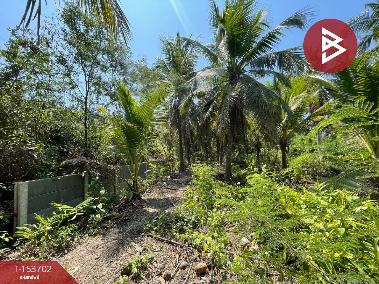 Land for sale, area 1 ngan 2.7 sq m, Khlong Khen, Samut Songkhram – รูปที่ 3