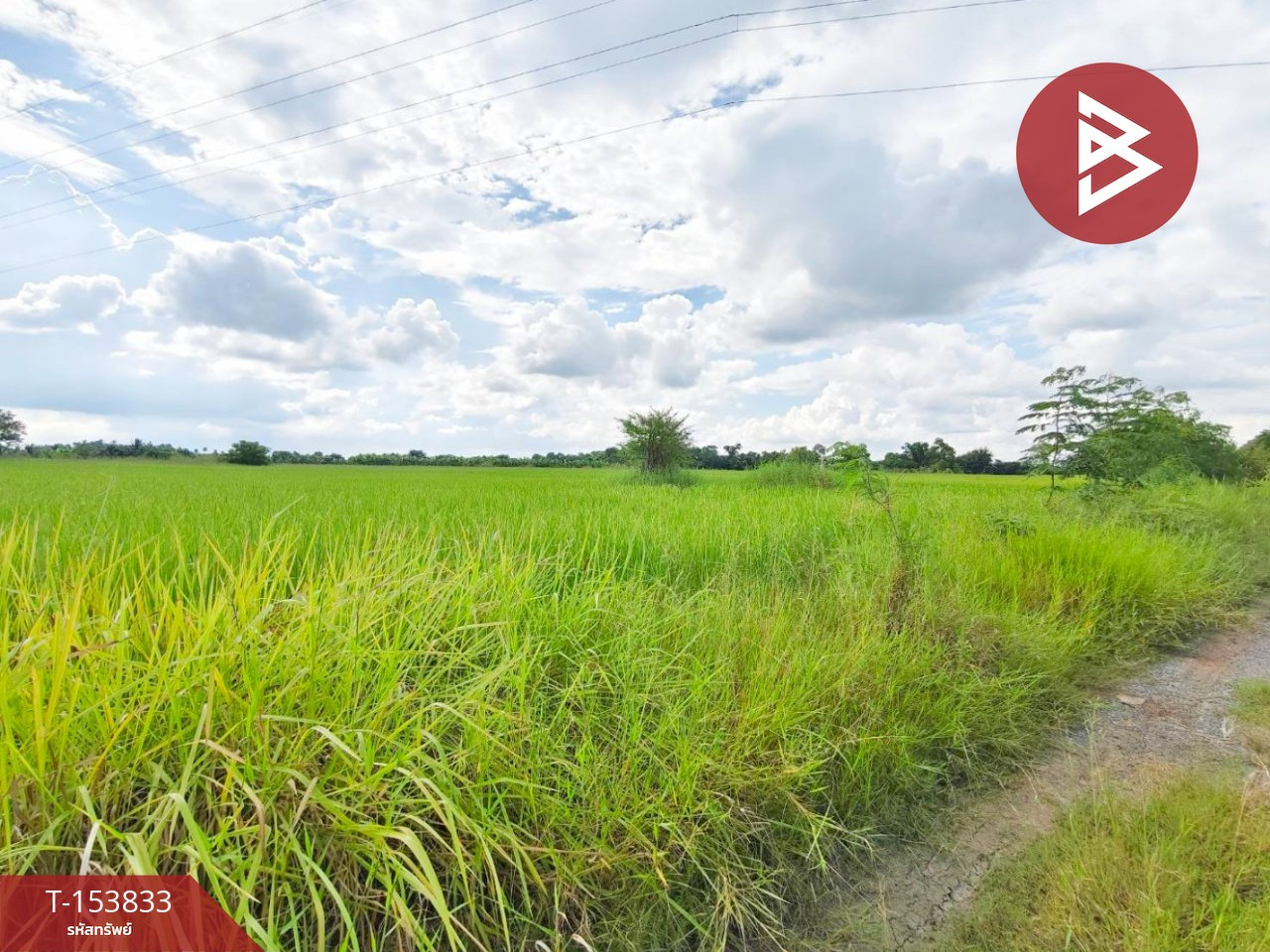 ขายที่ดิน เนื้อที่ 4 ไร่ จอหอ นครราชสีมา  – รูปที่ 3