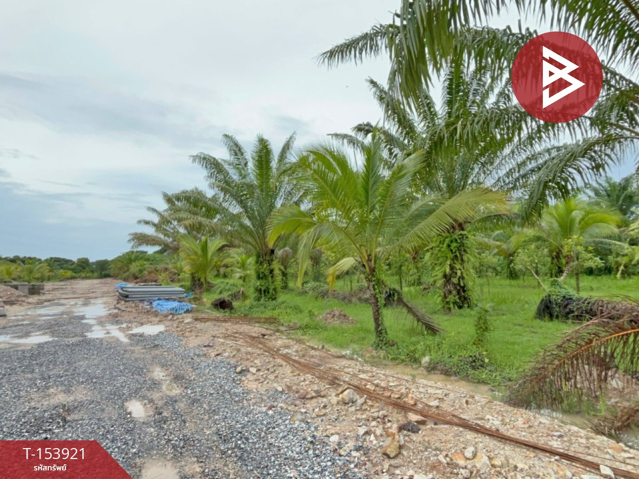 ขายที่ดิน เนื้อที่ 5 ไร่ 1 งาน 70.8 ตร.วา ท่าซัก นครศรีธรรมราช  – รูปที่ 2