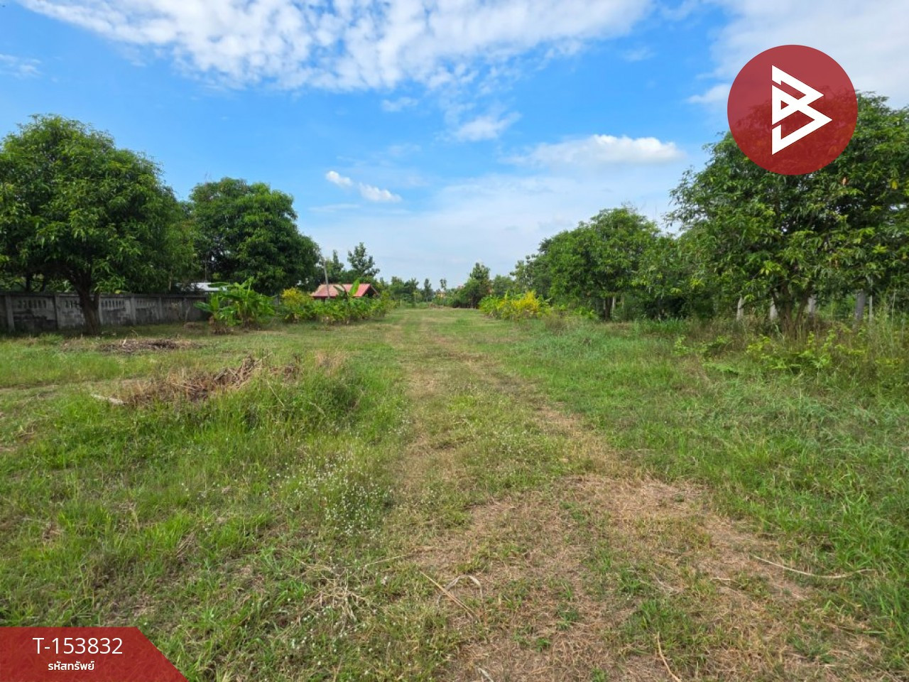 Land for sale with buildings, area 4 rai 1 ngan 40 sq m, Ban Nong Khaeng, Changhan District, Roi Et. – รูปที่ 4