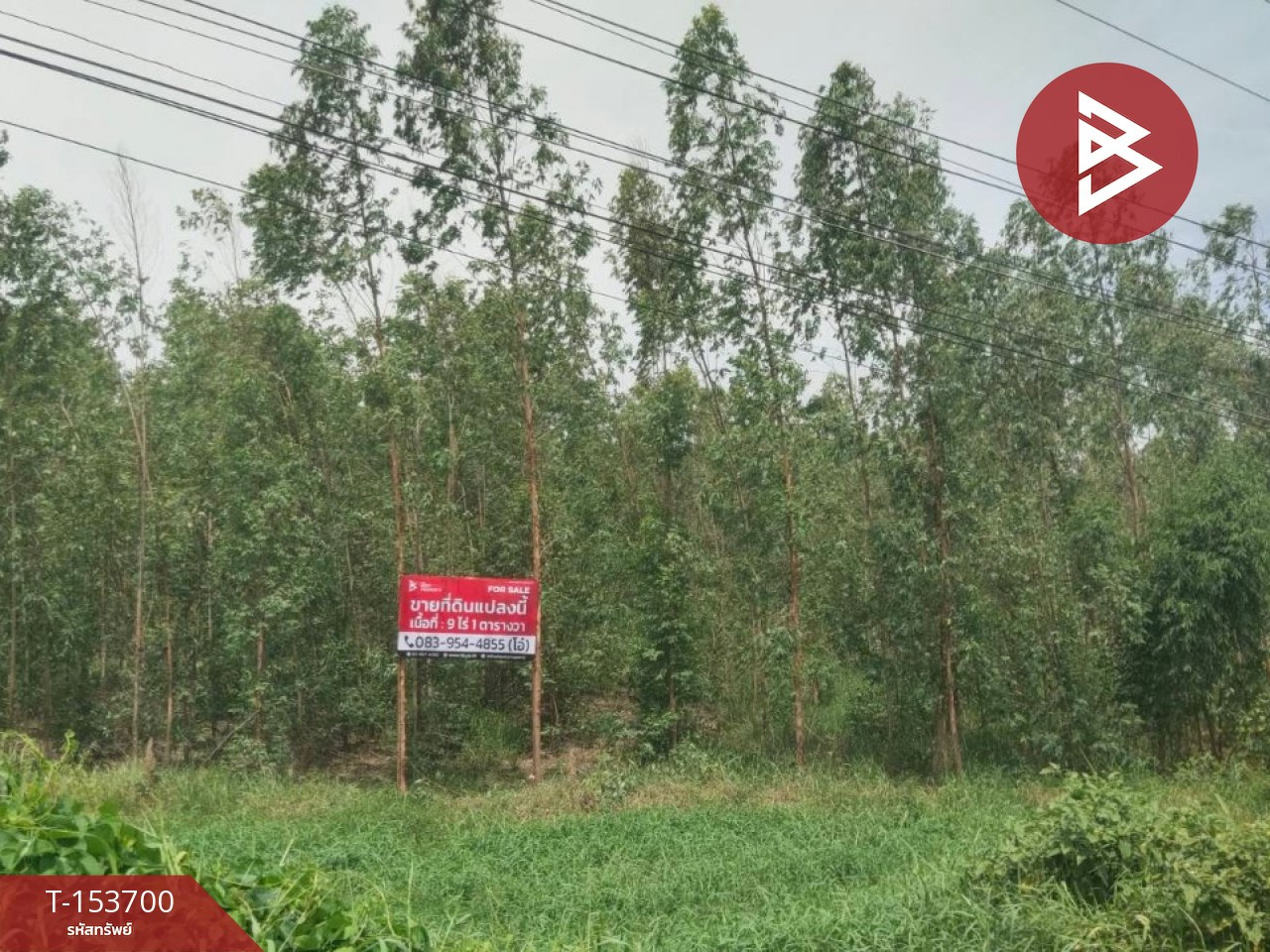ขายที่ดิน เนื้อที่ 9 ไร่ 1 ตร.วา ลาดยาว นครสวรรค์ – รูปที่ 2