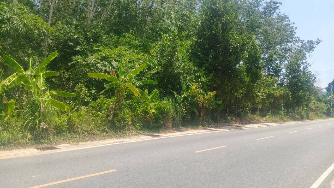 🔥 Urgent! Beautiful land for sale next to the road Prime location in Phuket city 🔥✨ – รูปที่ 4