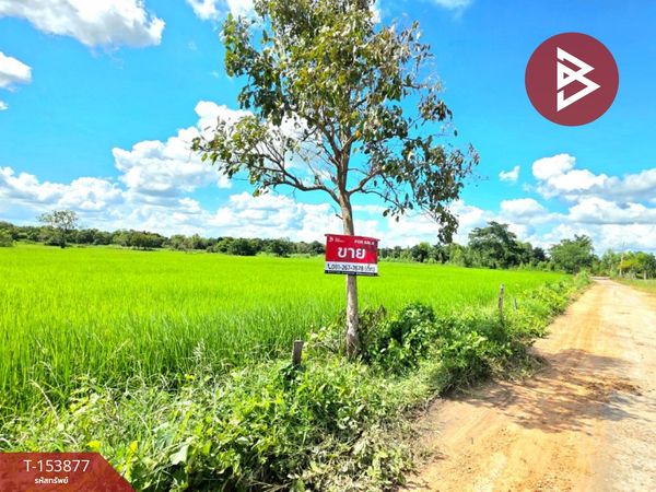 Land for sale, area 2 rai 7.9 sq m, Borabue, Maha Sarakham.