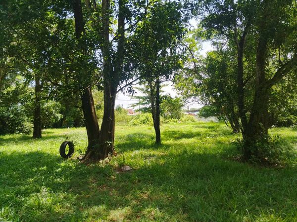 🌿 Urgent! Selling a beautiful plot of land, potential location, great atmosphere 🌿✨