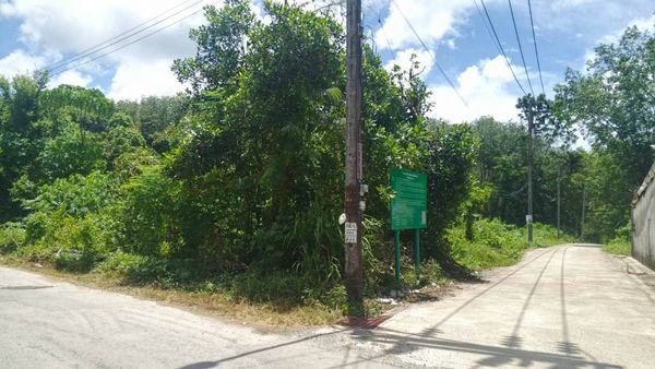 🌿 Urgent! Beautiful plot of land for sale, great location, next to the road, convenient travel, Si Sunthon Zone, Phuket 🌿✨
