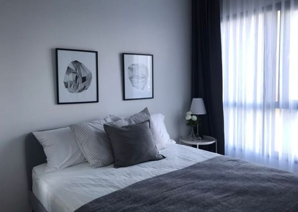 Unit Available at The Tree Sukhumvit 71–Ekamai Multiple units available—prices negotiable!