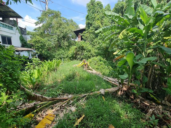 98500 - Selling empty land, beautiful rectangular shape, 1 rai (41x40 m.), next to a public canal. Peaceful, private, good location, Soi Rewadee 8 (city center of Nonthaburi)