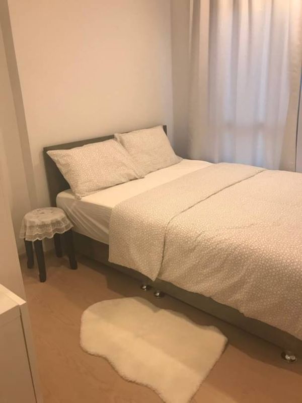 Unit Available at The Tree Sukhumvit 71-Ekkamai Multiple units available—prices negotiable!