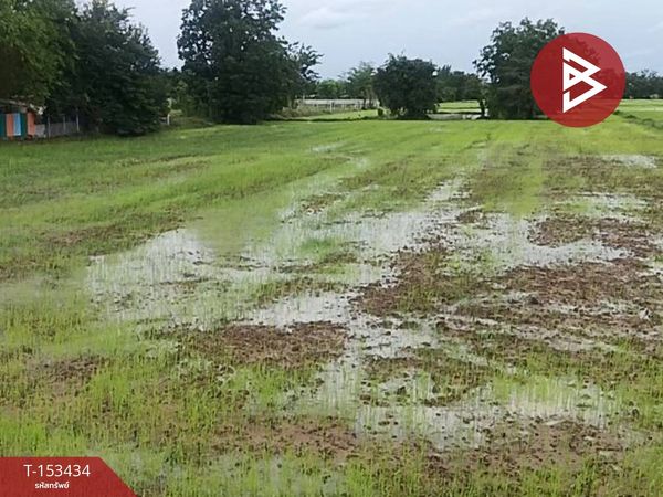 Land for sale, area 10 rai 22 square wa, Don Chedi, Suphan Buri.