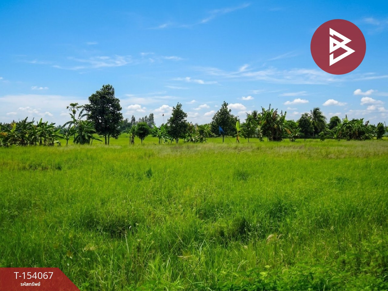 ขายที่ดิน เนื้อที่ 6 ไร่ 90.6 ตร.วา ท่าม่วง กาญจนบุรี – รูปที่ 2