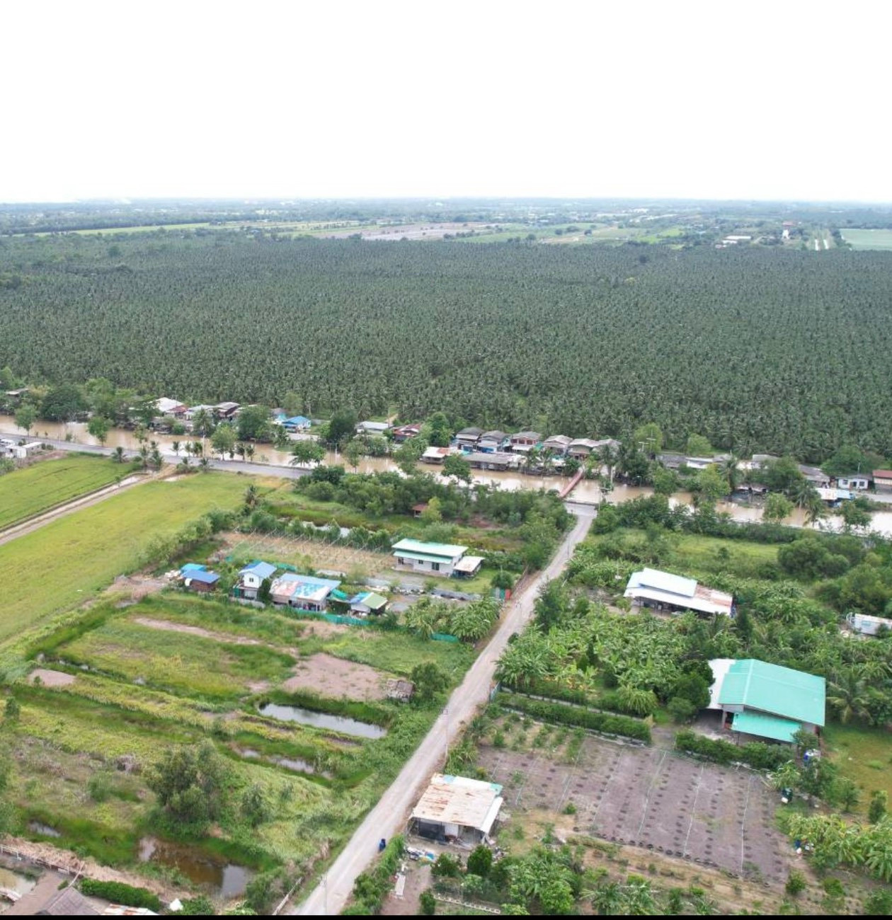 🏡 Garden house for sale, ready to move in, area 1 rai, Khlong 12 | Peaceful atmosphere, near Bua Luang Market, only 2 km. 🍃 Dream retirement home – รูปที่ 3
