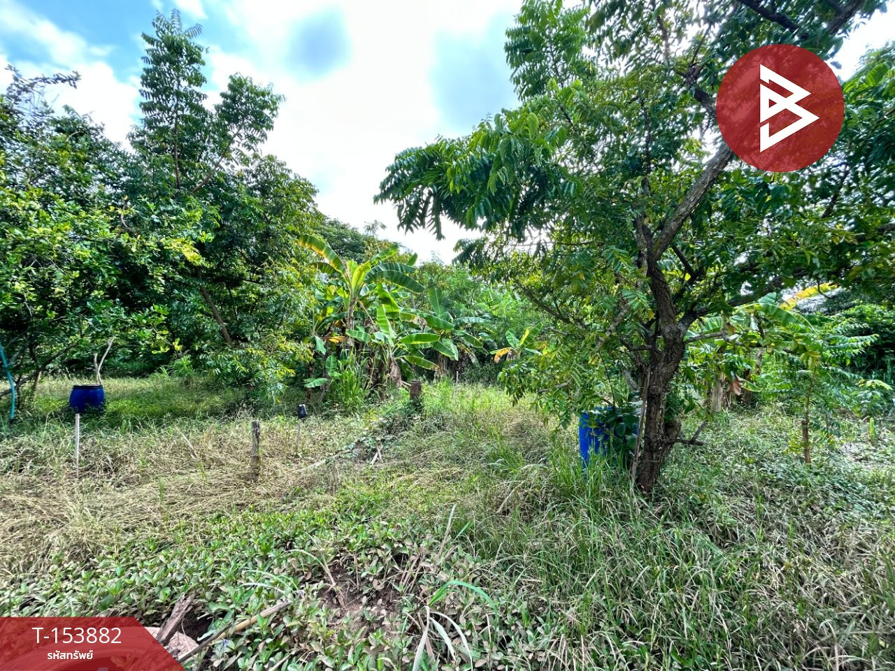 ขายที่ดิน เนื้อที่ 18 ไร่ 1 งาน 50.6 ตร.วา สีคิ้ว นครราชสีมา – รูปที่ 3