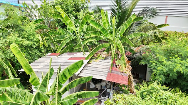 บางมด BigC สุขสวัสดิ์ 492ม. โฮมโปรสุขสวัสดิ์ แยกพระประแดง 800 ม. 176ตร.วา. 704ตรม. ให้เช่า-ขายที่ดินเปล่า – รูปที่ 2
