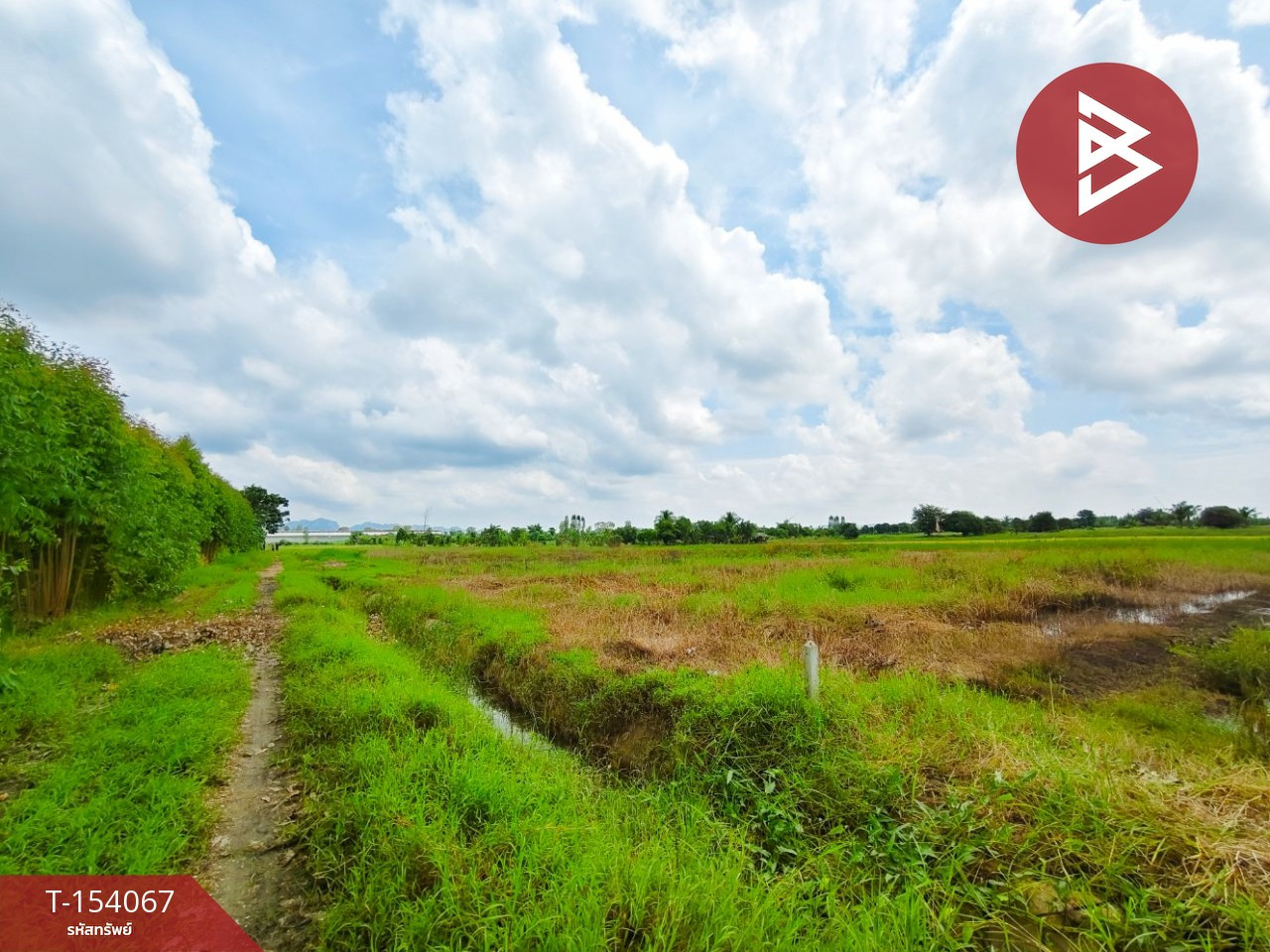 ขายที่ดิน เนื้อที่ 6 ไร่ 90.6 ตร.วา ท่าม่วง กาญจนบุรี – รูปที่ 4