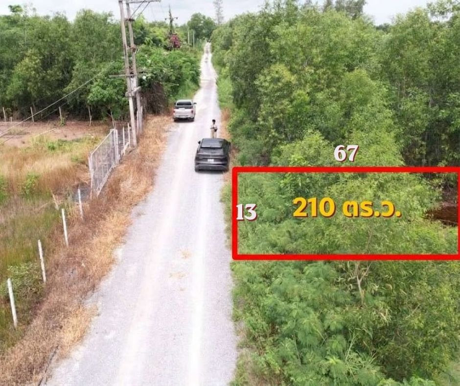 💥 Selling for cheap! Land Khlong 12, area 210 sq m, only 590,000 baht (payment directly to the ) – รูปที่ 2