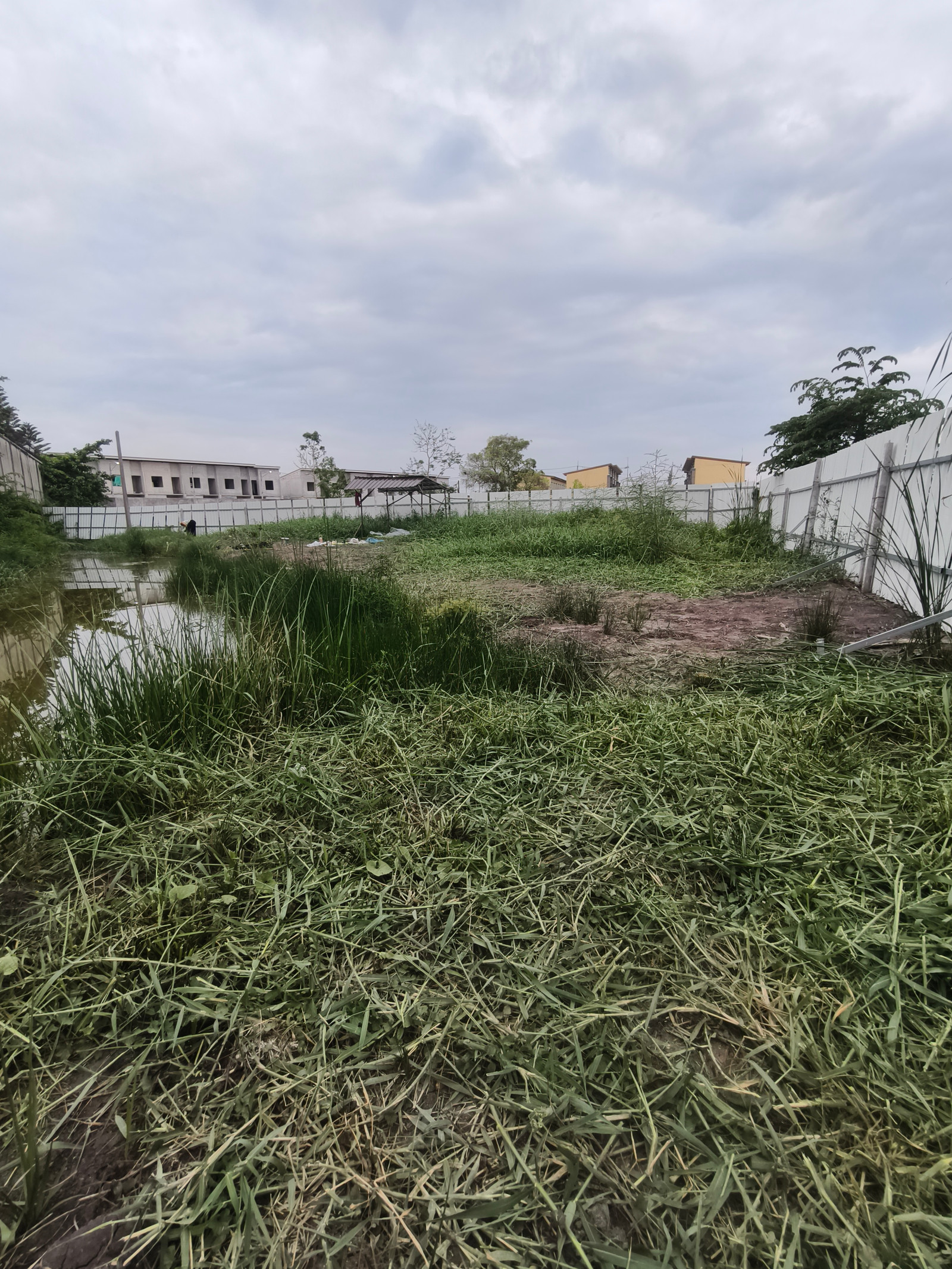 Empty land for rent, Tiwanon Road, Soi Ruamsuk 5/23, Pathum Thani. – รูปที่ 4