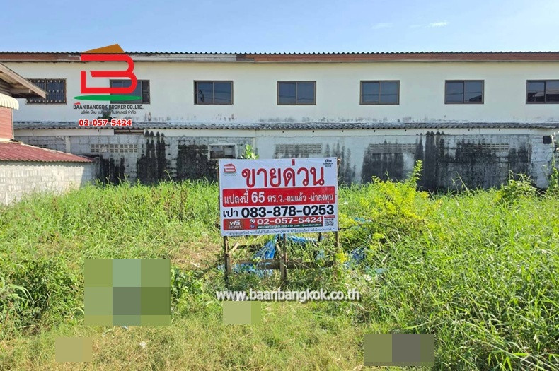 Empty land already filled in, Soi Metta, Lam Luk Ka Khlong 7, area 65 sq m., near Chatchawan Market, Lam Luk Ka Khlong 7, Liap Khlong 7 Road, Lam Luk Ka, Bueng Kham Proi Subdistrict, Lam Luk Ka District, Pathum Thani Province. – รูปที่ 2