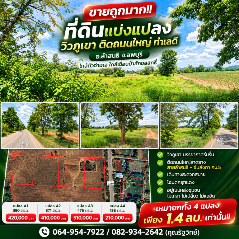Selling very cheap!! Land divided into plots with mountain views, next to the main road, good location, Lam Sonthi District, Lopburi Province, near the district, near Pa Sak Cholasit Dam.