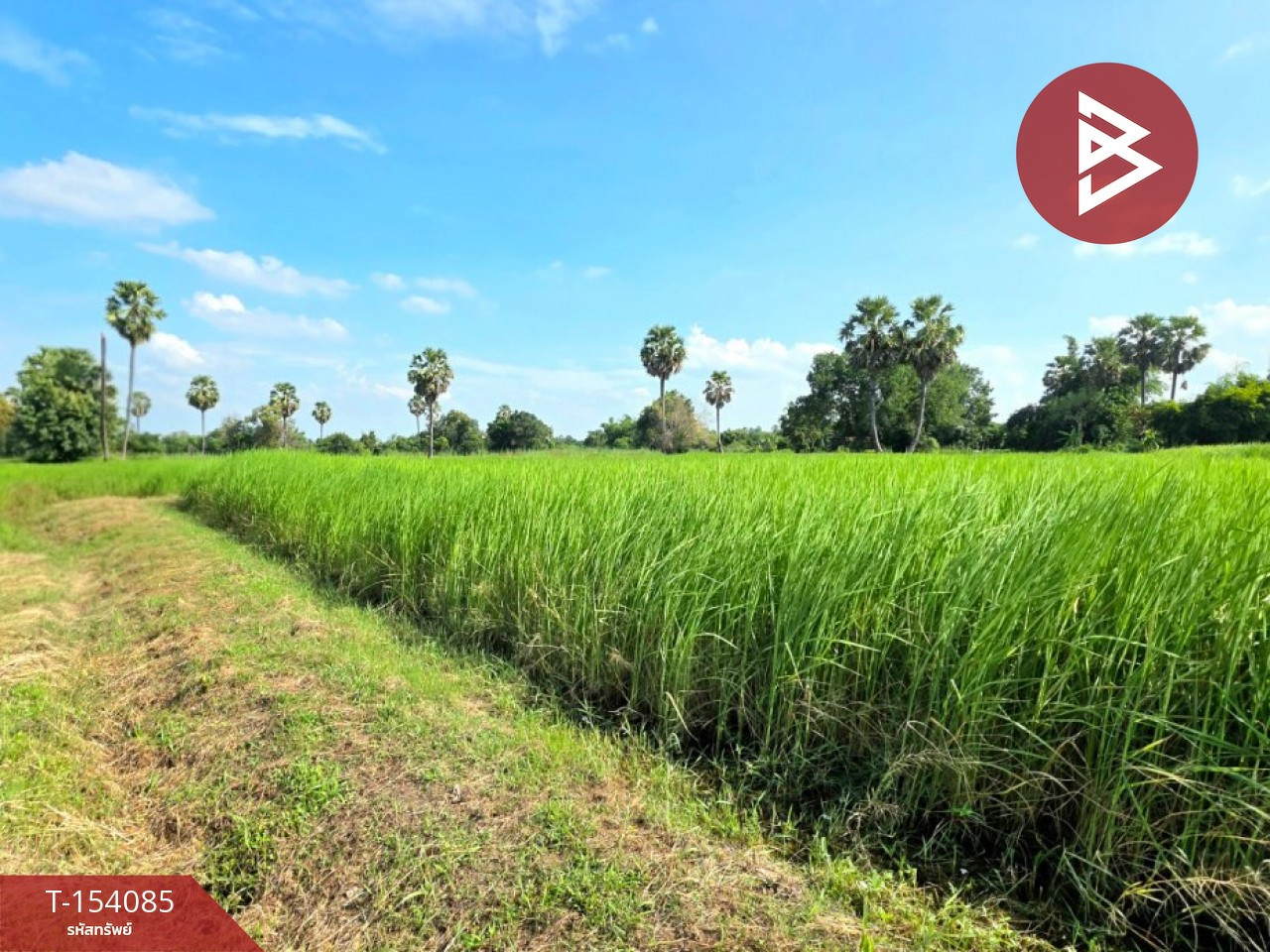 Land for sale, area 2 rai, Yang Talat, Kalasin. – รูปที่ 2
