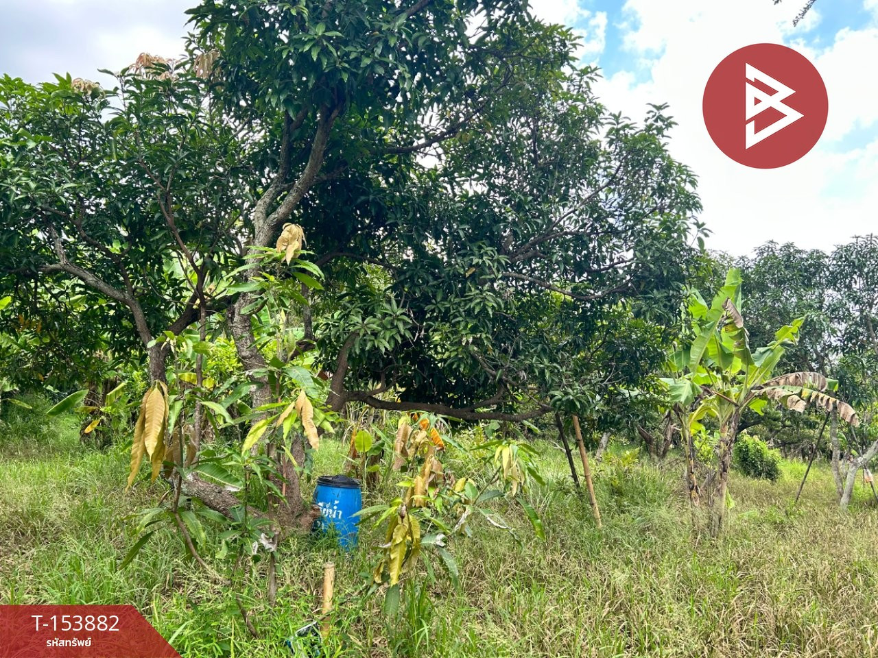 ขายที่ดิน เนื้อที่ 18 ไร่ 1 งาน 50.6 ตร.วา สีคิ้ว นครราชสีมา – รูปที่ 2