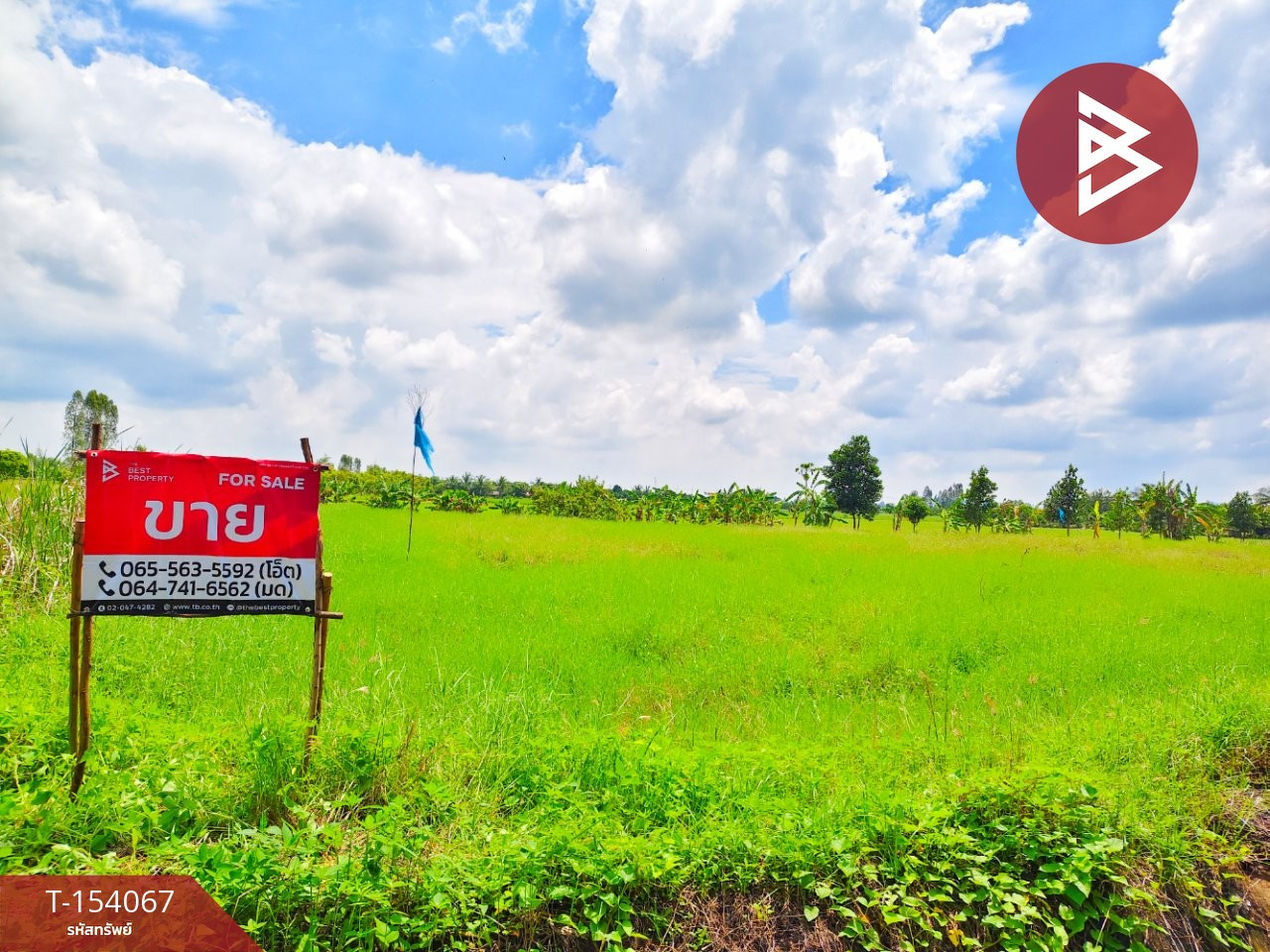 Land for sale, area 6 rai 90.6 sq m, Tha Muang, Kanchanaburi.