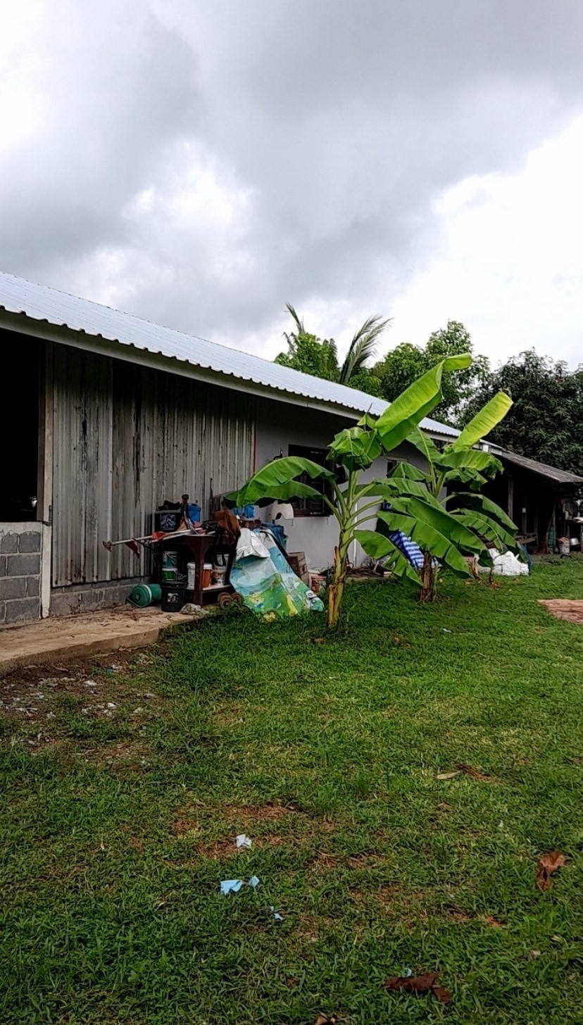 98228 - Land for sale with buildings, 2 rai, location Soi Wat Sukjai 19, Khlong Sam Wa District, Bangkok.