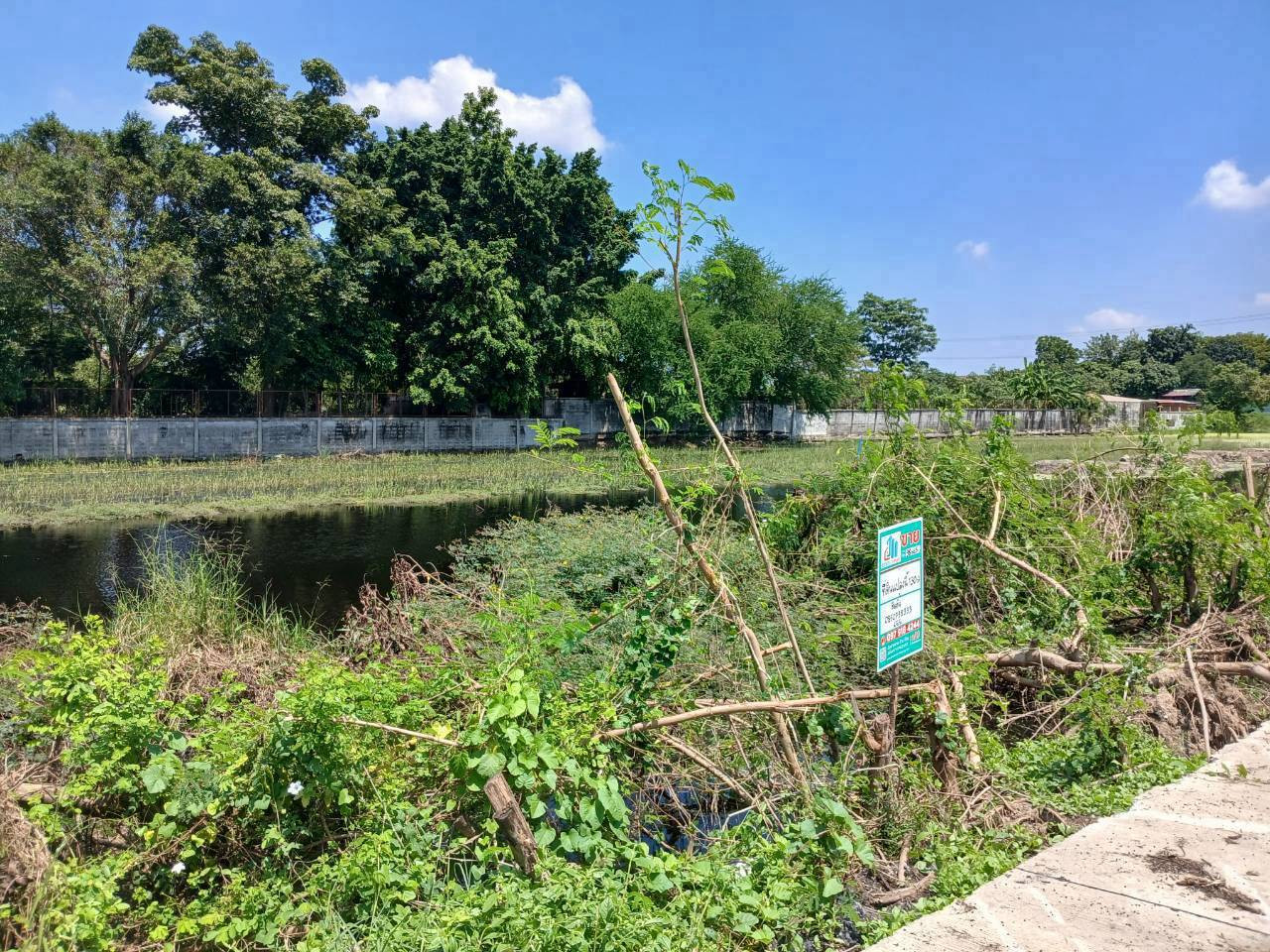 98665 - Land for sale, divided into plots, good location, area 130 square meters, Soi Wat Lat Pla Duk, Bang Khu Rat Subdistrict, Bang Bua Thong District, Nonthaburi Province.