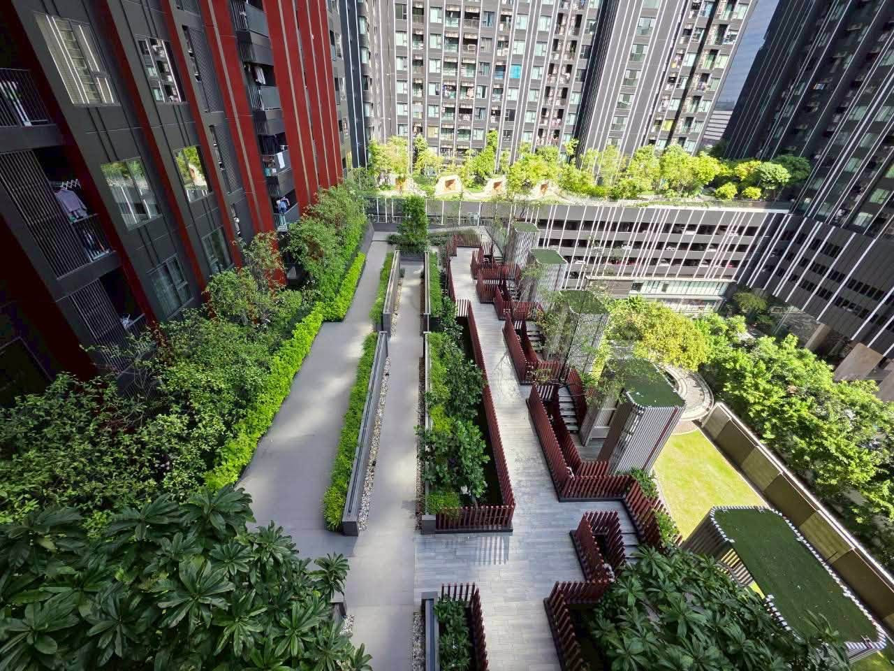 ปล่อยเช่าด่วน! Life Asoke Hype Rama 9 วิวห้องสวยหายาก ธรรมชาติสบายตา โหงวเฮ้งห้องพลังดีมากก