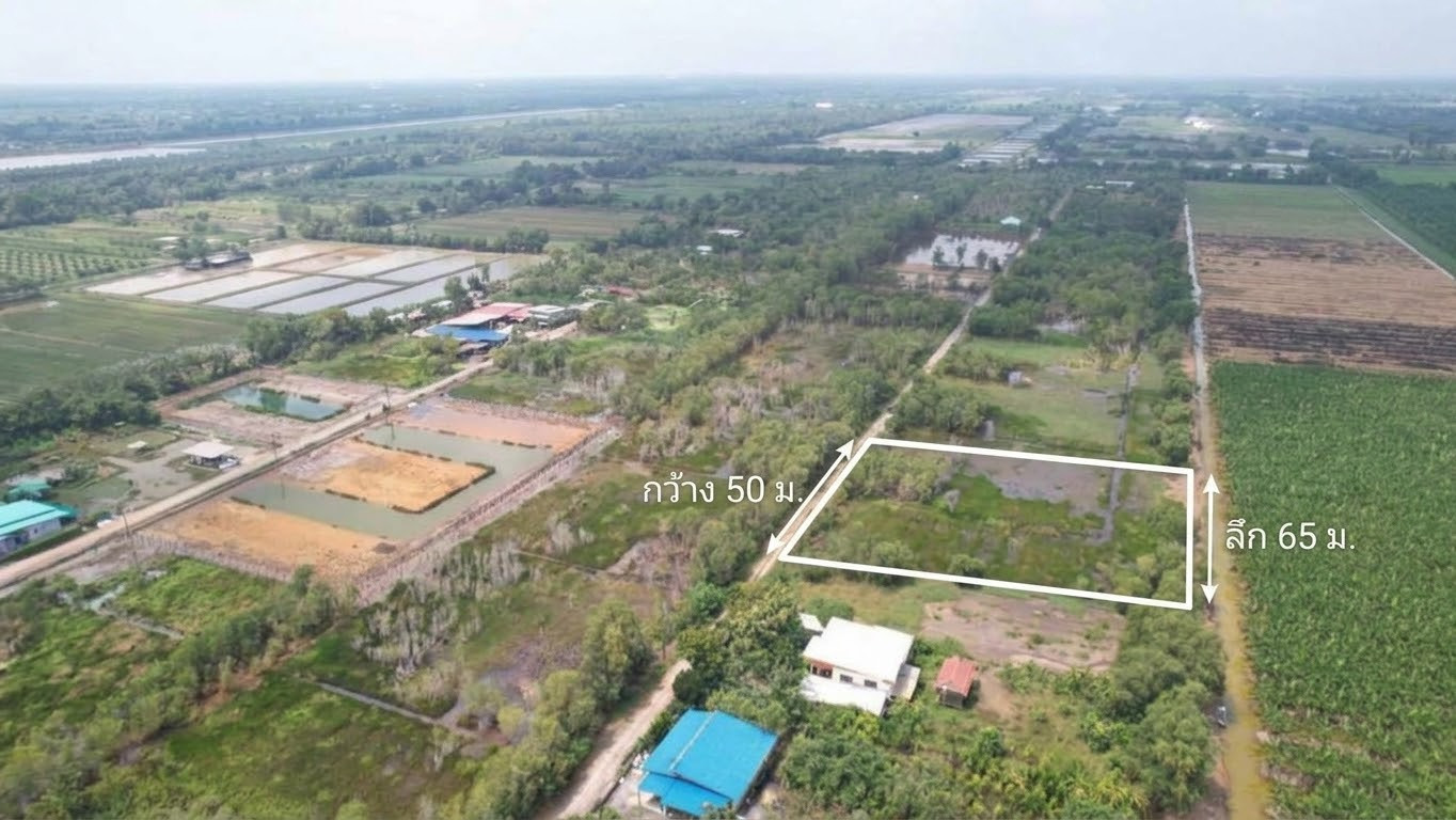 💥 Selling for cheap! Land Khlong 12, area 210 sq m, only 590,000 baht (payment directly to the ) – รูปที่ 4