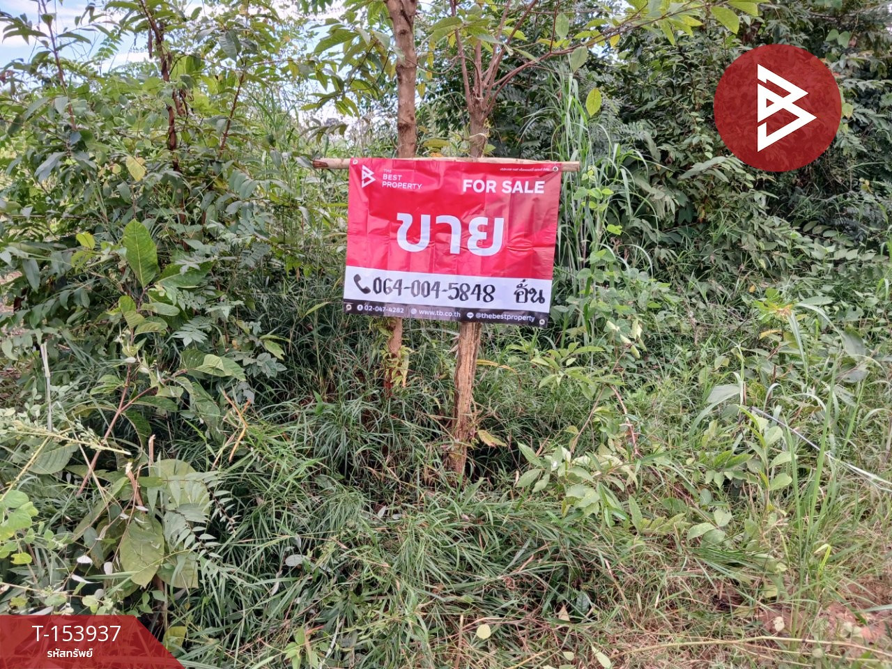 Land for sale, area 23 rai 53 sq m, Nong Yat, Nakhon Phanom. – รูปที่ 3