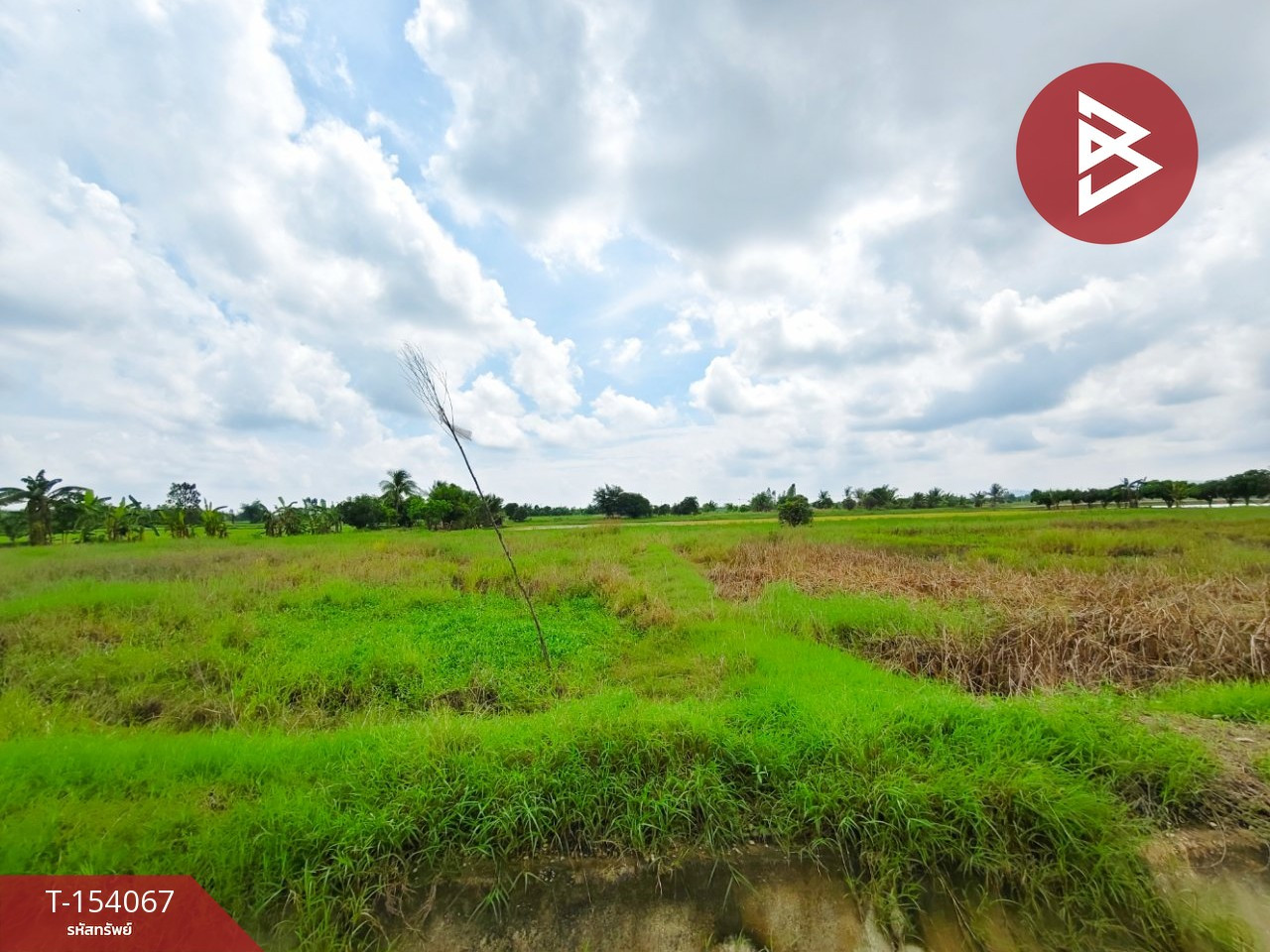 ขายที่ดิน เนื้อที่ 6 ไร่ 90.6 ตร.วา ท่าม่วง กาญจนบุรี – รูปที่ 3
