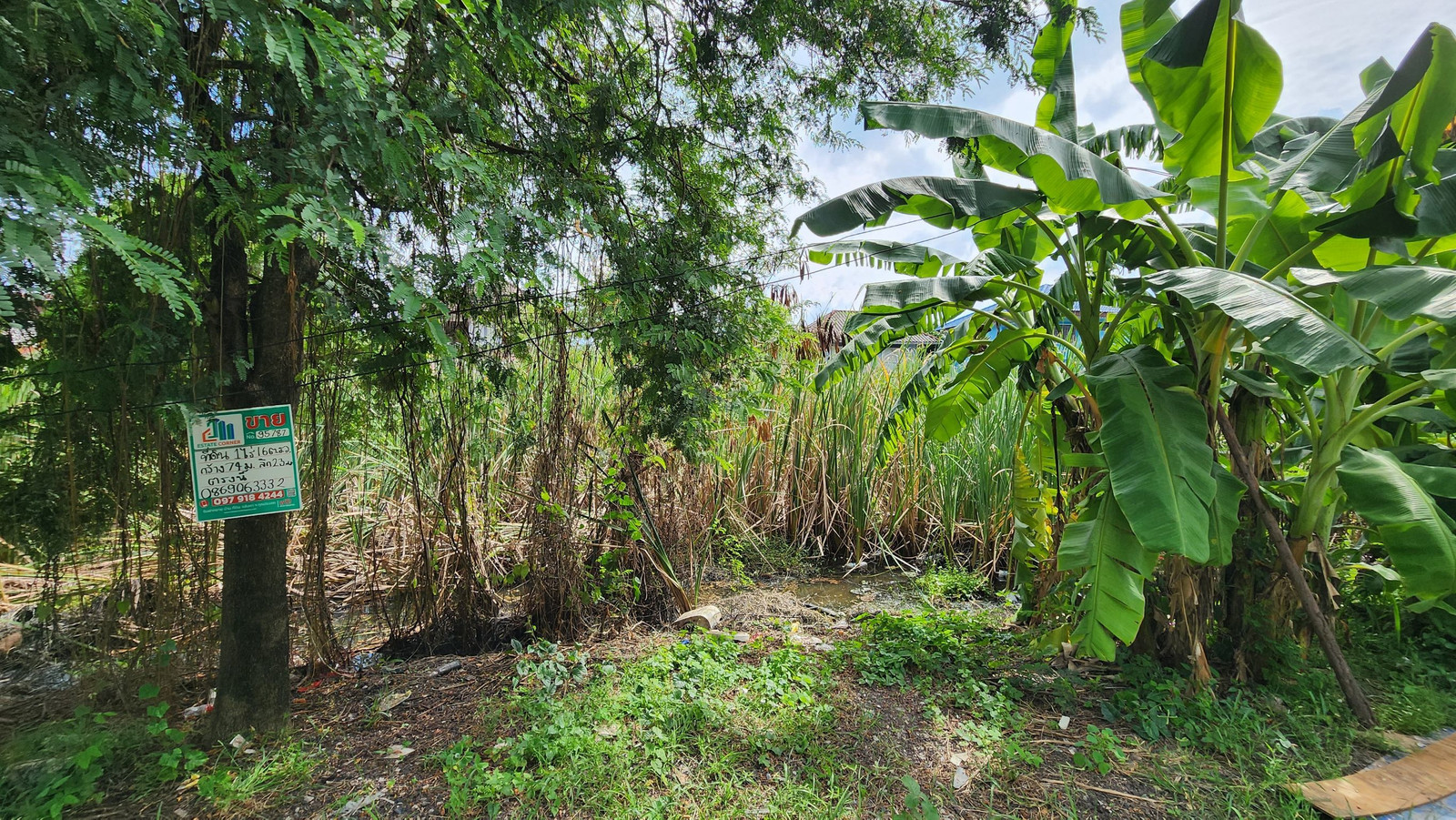 95787 - Empty land for sale in Soi Khlong 6, Lam Luk Ka, 416 square meters, with public entrance and exit.