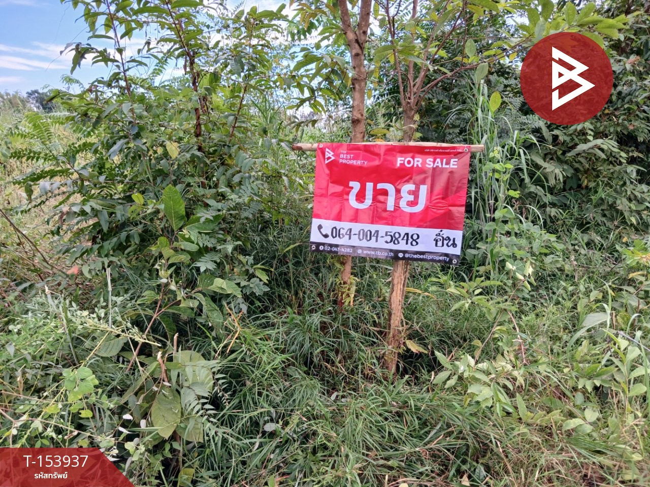 Land for sale, area 23 rai 53 sq m, Nong Yat, Nakhon Phanom. – รูปที่ 2