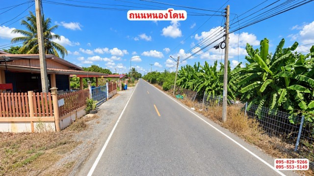 ขายถูกที่ดินพร้อมบ้าน 1 ชั้นพร้อมเฟอร์ 2-0-4 ไร่ ติดถนนหลัก น้ำไม่ท่วม ไว้ยามพักผ่อนยามเกษียณหรือทำเกษตร,ใกล้ชุมชน,ตลาด อ. หนองโดน สระบุรี – รูปที่ 3