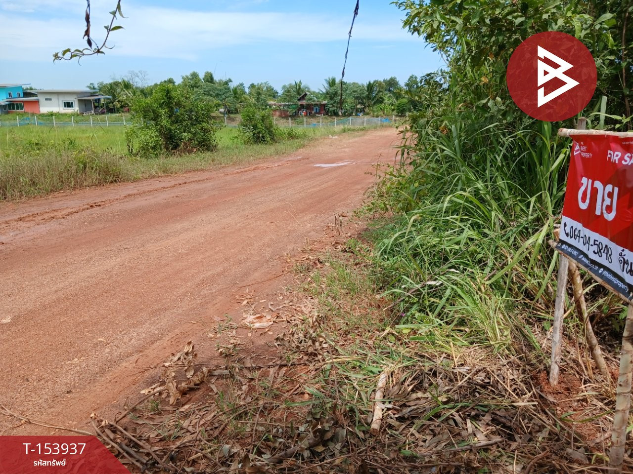 Land for sale, area 23 rai 53 sq m, Nong Yat, Nakhon Phanom. – รูปที่ 4