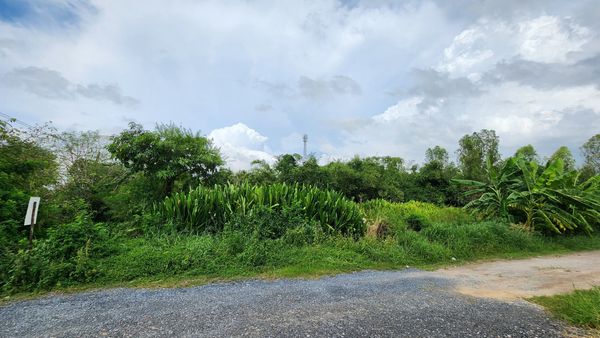 98686 - Empty land for sale in Soi Khlong 6, Lam Luk Ka, 241 square meters, opposite the apartment.