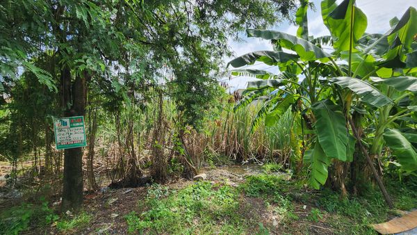 95787 - Empty land for sale in Soi Khlong 6, Lam Luk Ka, 416 square meters, with public entrance and exit.